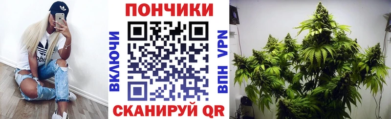 Бошки марихуана OG Kush Медынь